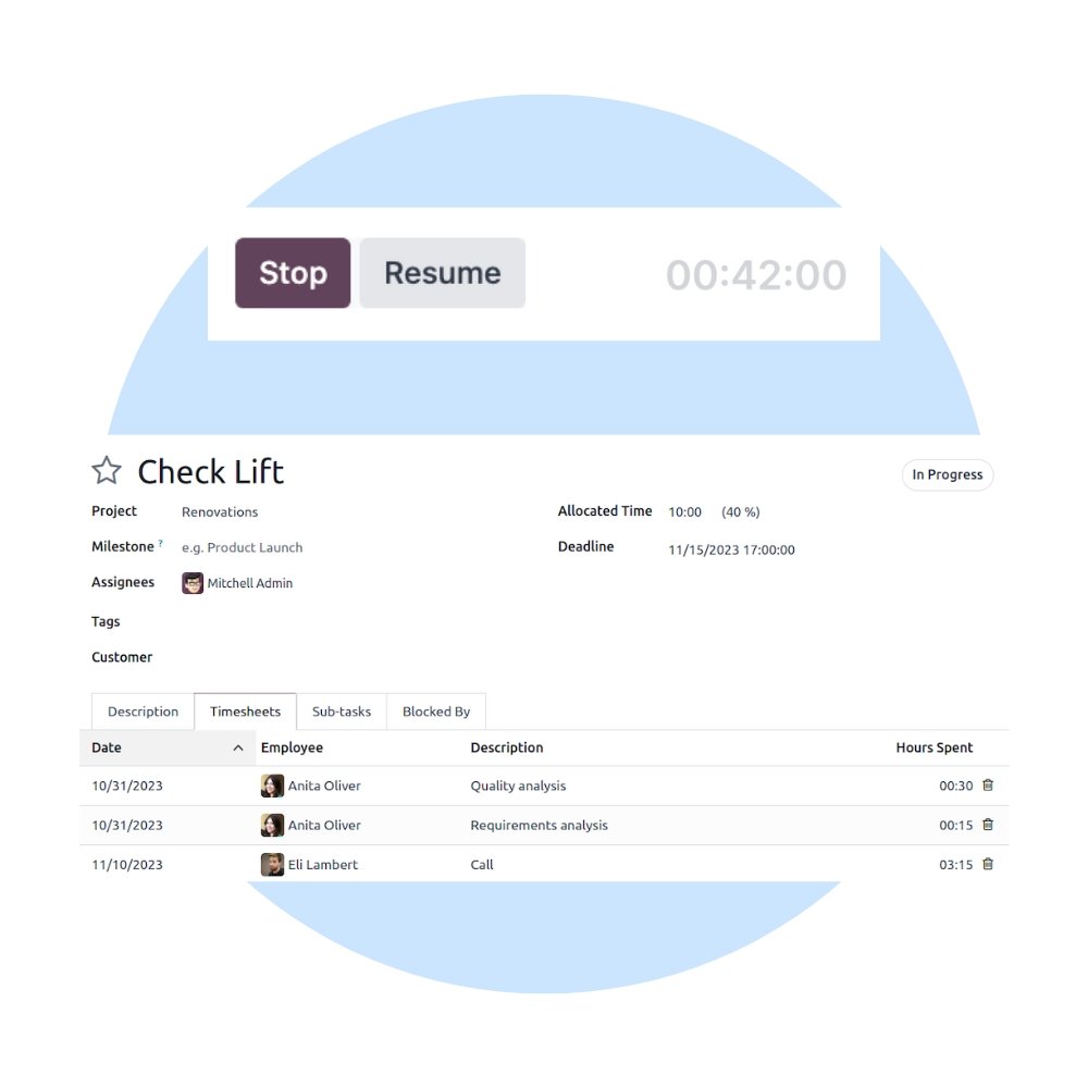 Odoo Project Support