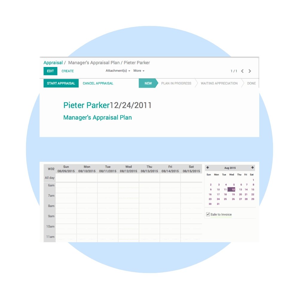 Odoo Appraisals Customization
