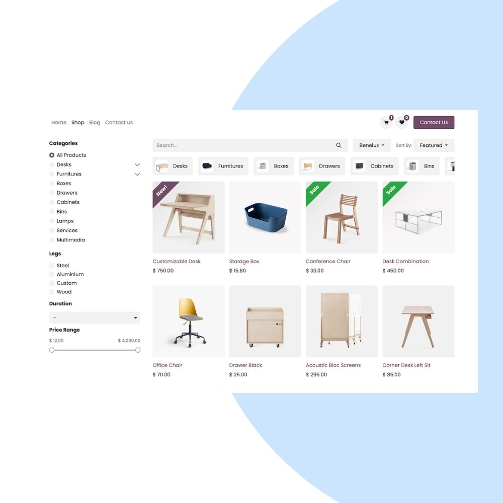 Odoo eCommerce Customization